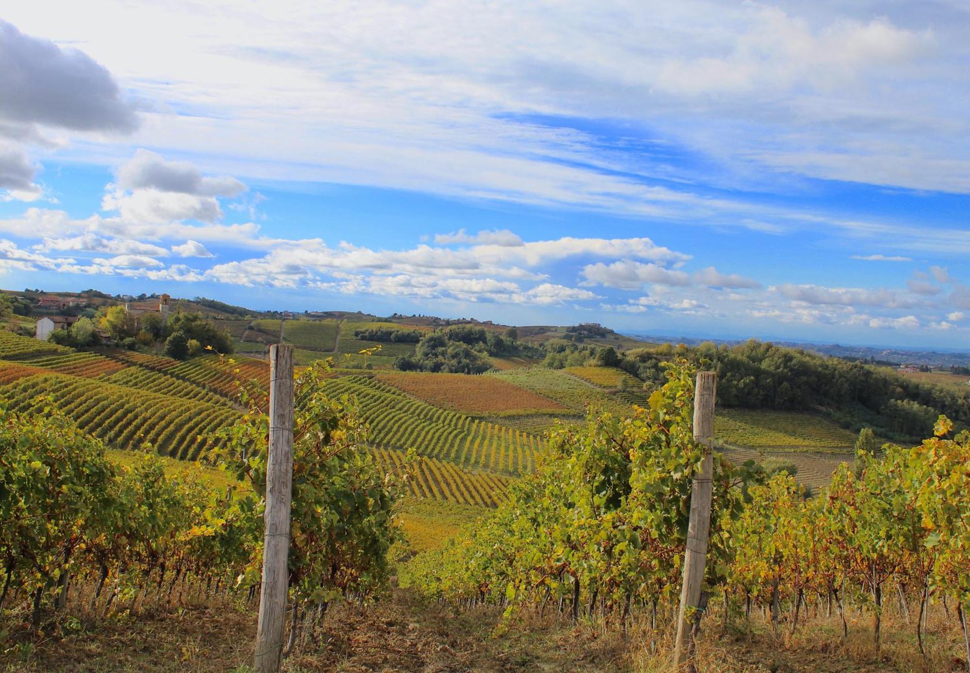 Amazing Langhe And Monferrato | House With Garden Villa Calamandrana ภายนอก รูปภาพ